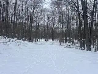 9980 Red Deer Court #577, Canadian Lakes, MI 49346 - #2