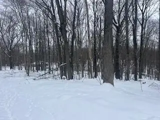 9980 Red Deer Court #577, Canadian Lakes, MI 49346 - #3