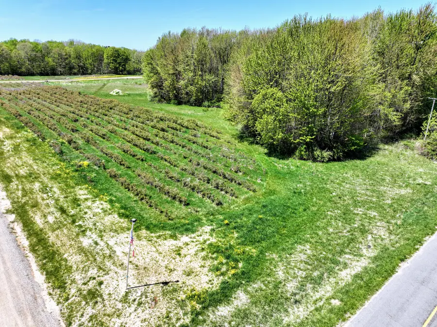 59070 Benny Ct #Parcel 6, Grand Junction, MI 49056 - #2