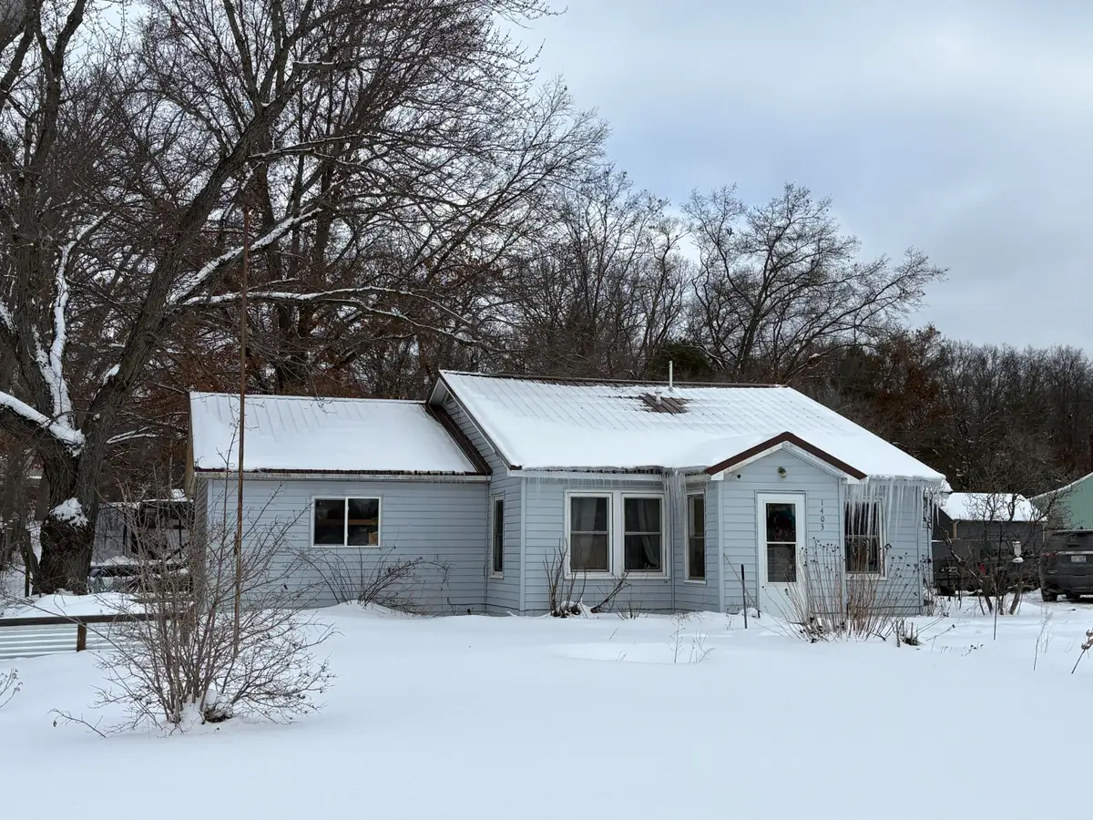 1403 E James Street, White Cloud, MI 49349 - #1