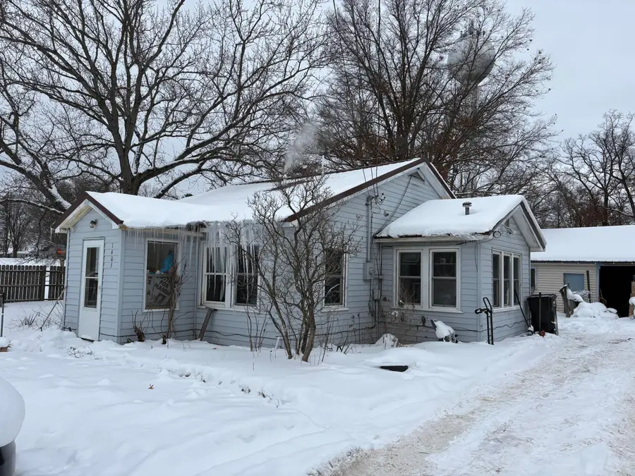 1403 E James Street, White Cloud, MI 49349 - #3