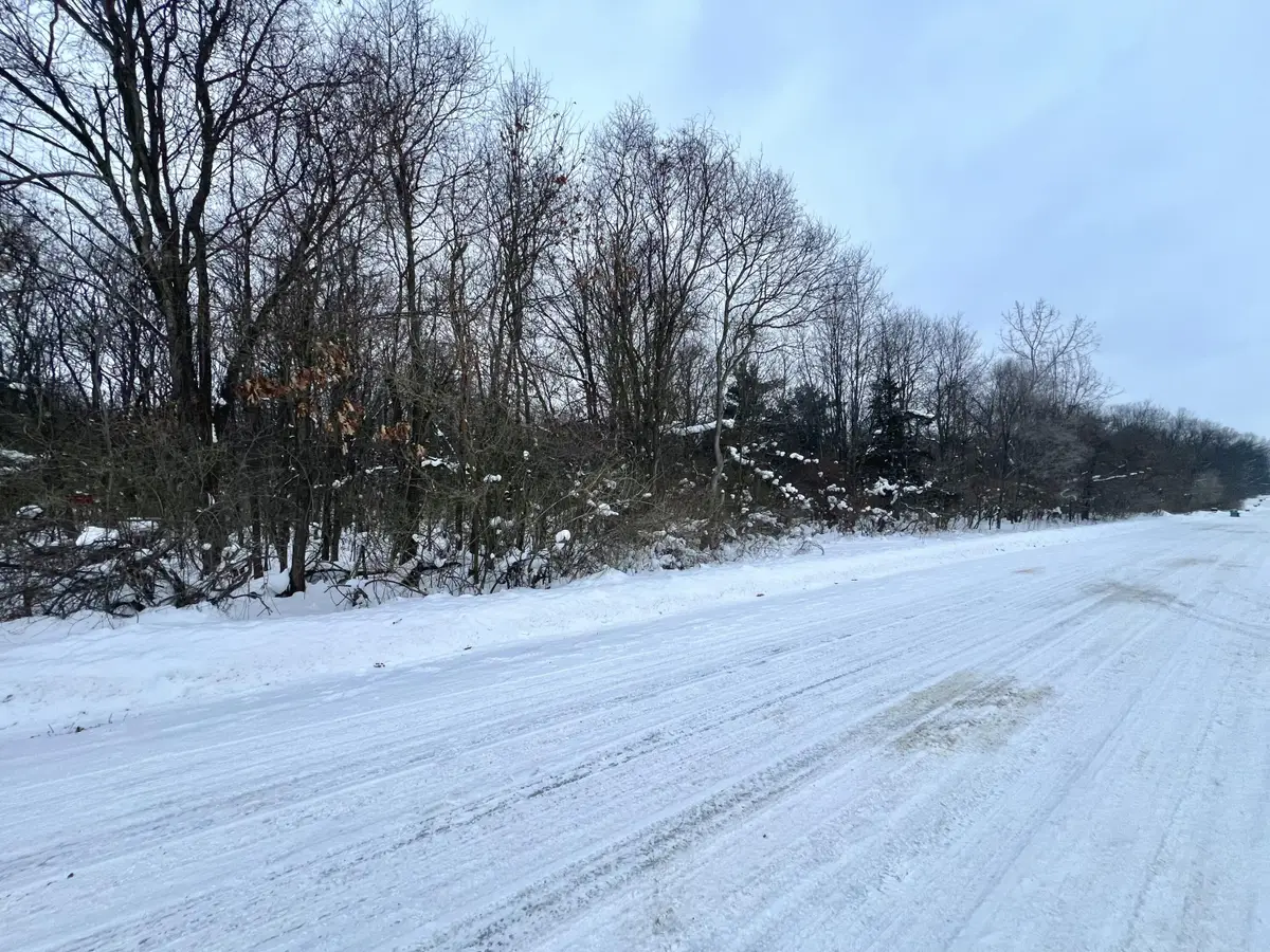 V/L S 15th Street, Niles, MI 49120 - #1