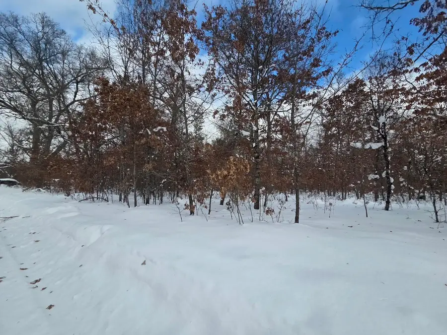 V/L S Harvard Ave., Baldwin, MI 49304 - #3