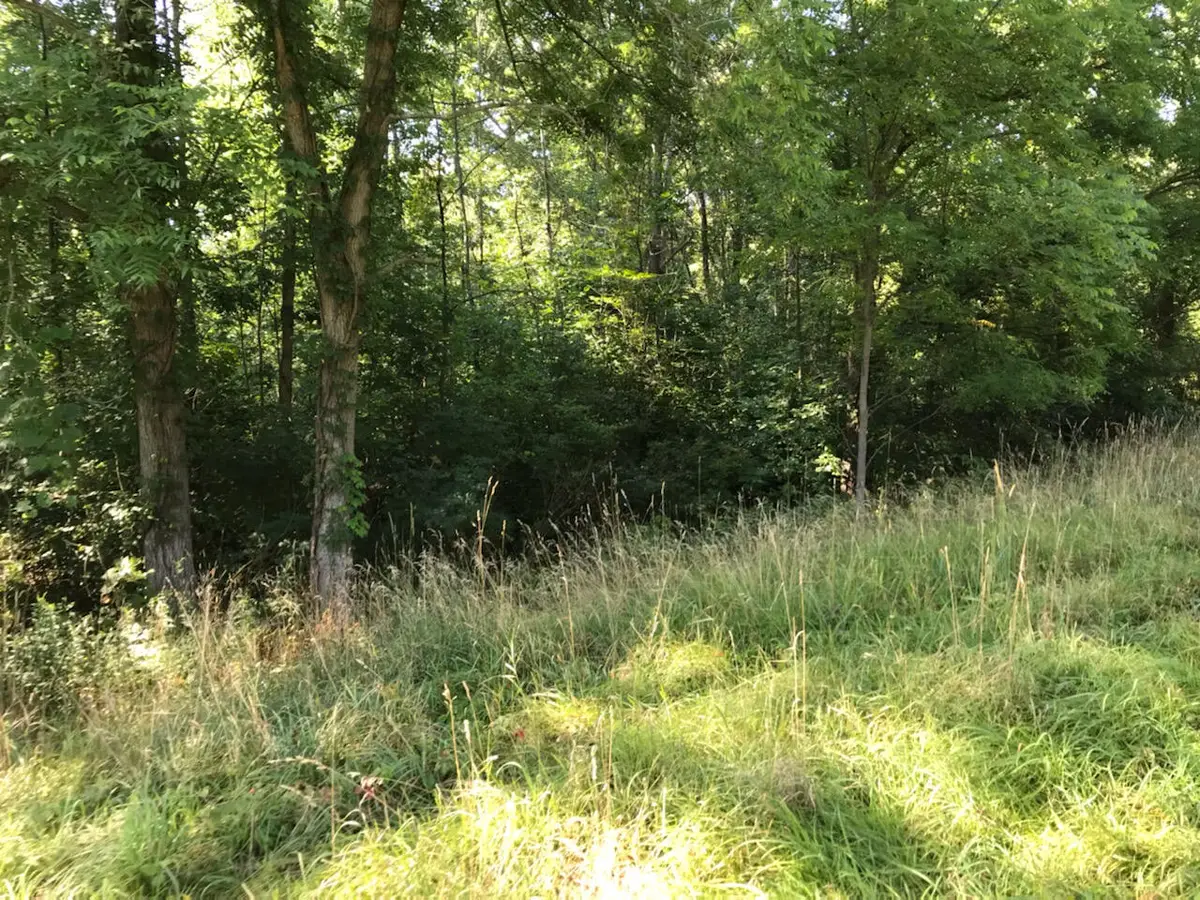 37111 Paw Paw Road, Paw Paw, MI 49079 - #1