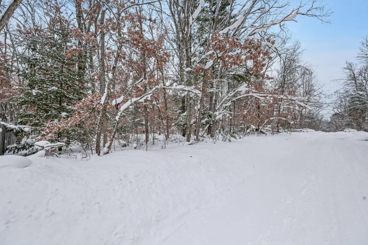 V/L Bagnall Blvd, Baldwin, MI 49304 - #1