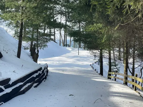 2225 S Apache Drive, Shelby, MI 49455