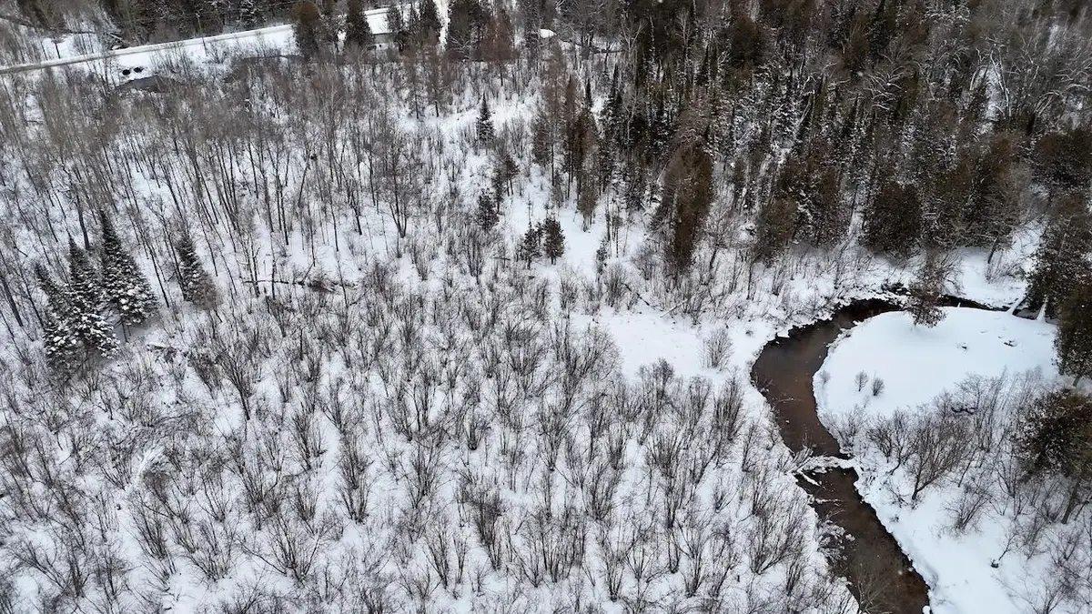 22361 9 Mile Road, Reed City, MI 49677 - #1