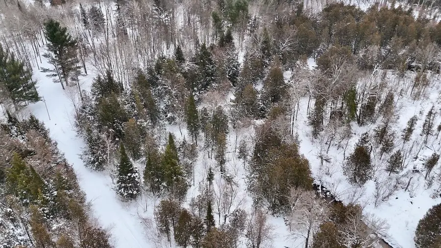 22361 9 Mile Road, Reed City, MI 49677 - #2