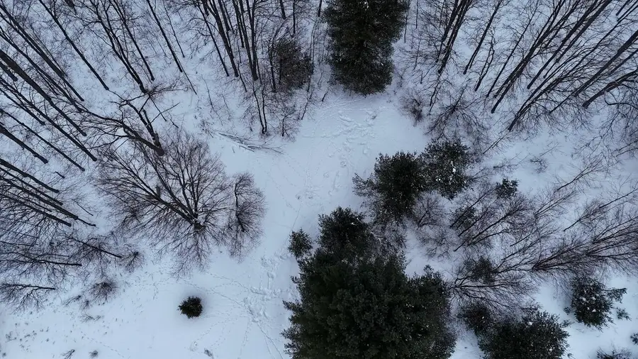 V/L 17 Mile Rd, Leroy, MI 49655 - #2