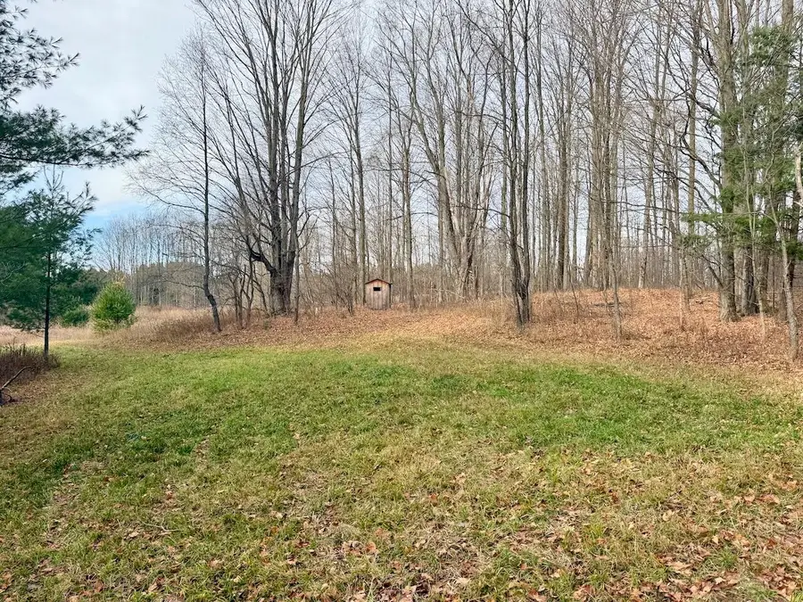 V/L 17 Mile Rd, Leroy, MI 49655 - #3