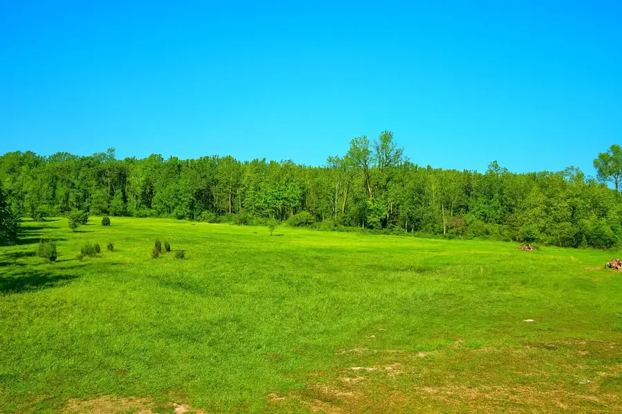 Lot D Ewing Road, Lawton, MI 49065 - #3