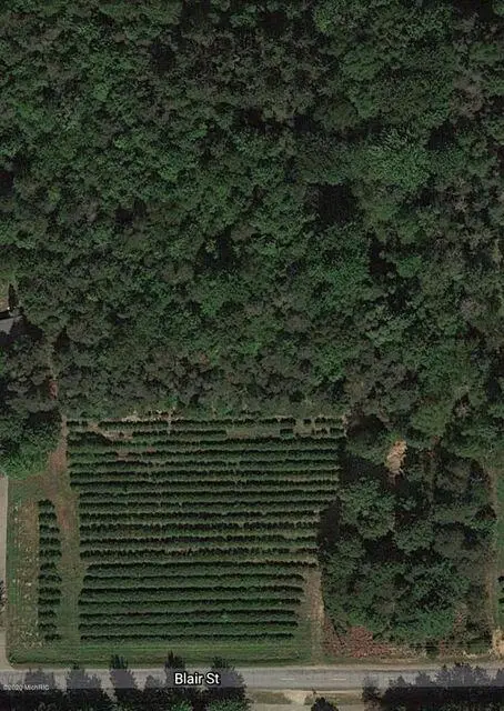 V/L Blair Street, West Olive, MI 49460 - #1