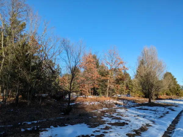 Bergstrom Drive, Kaleva, MI 49645