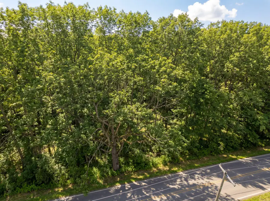 2516 Clinton Way, Jackson, MI 49201 - #3