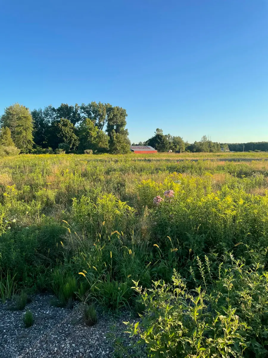 6441 S Sullivan Road, Nunica, MI 49448 - #3