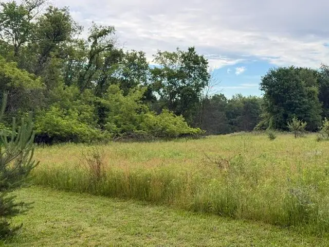 7628 N Marble Road, Howard City, MI 49329 - #2