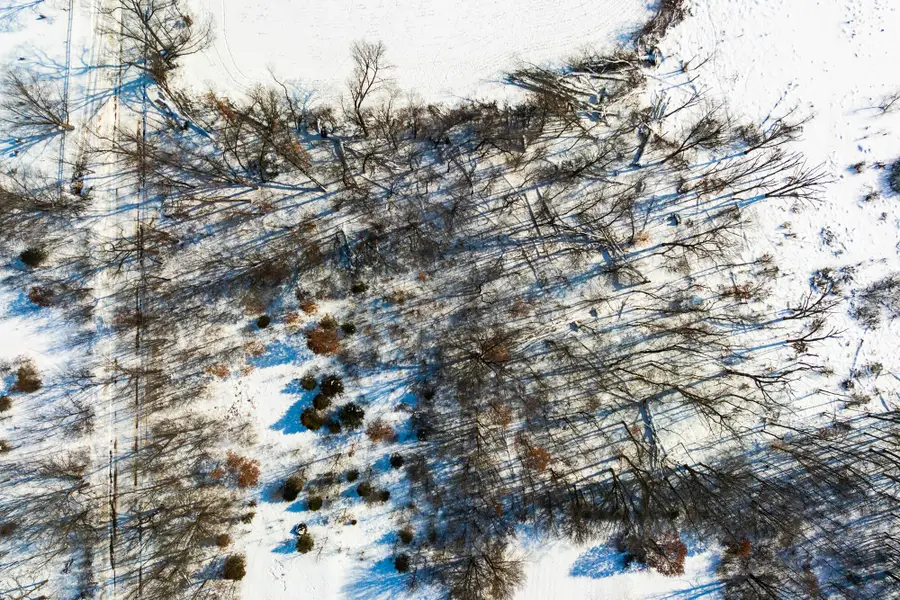 VL Cemetery Street, Cassopolis, MI 49031 - #3