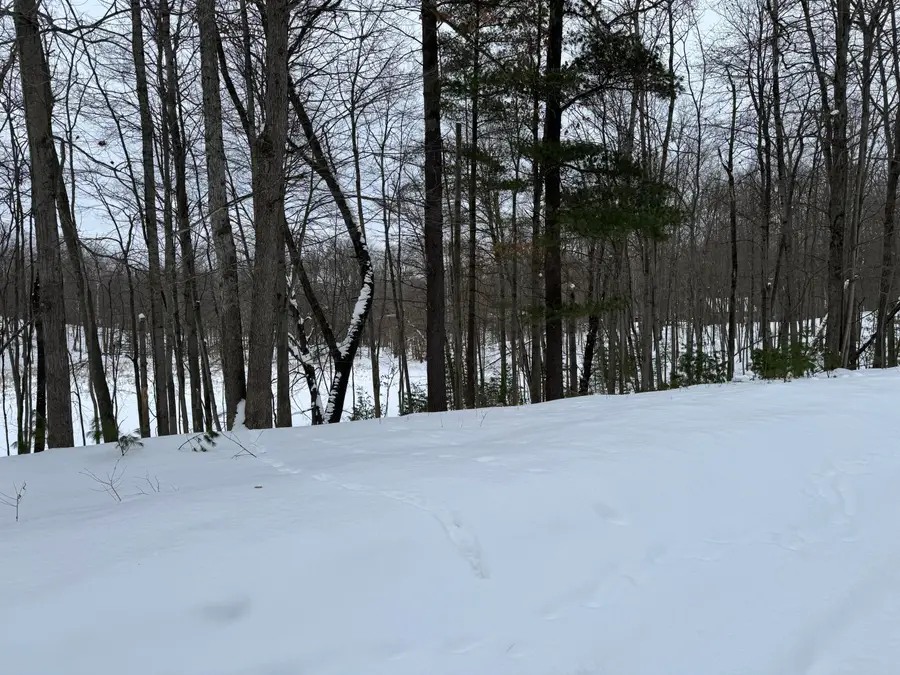 10953 Shawnee Trail, Stanwood, MI 49346 - #3