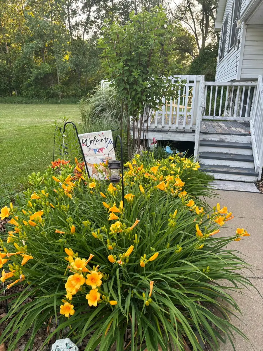 1150 Losey Road, Rives Junction, MI 49277 - #2