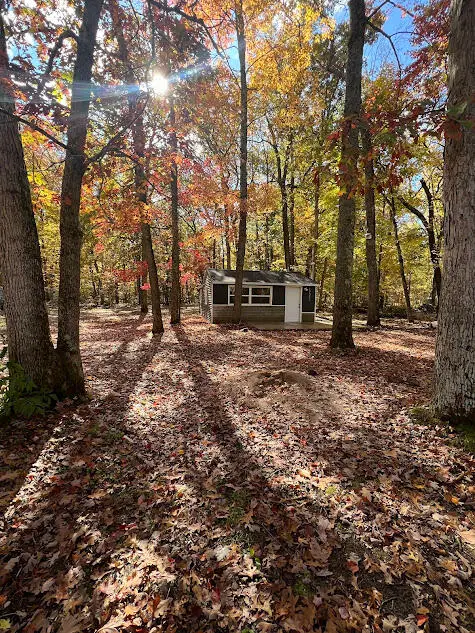 17323 Marian Street, Wellston, MI 49689