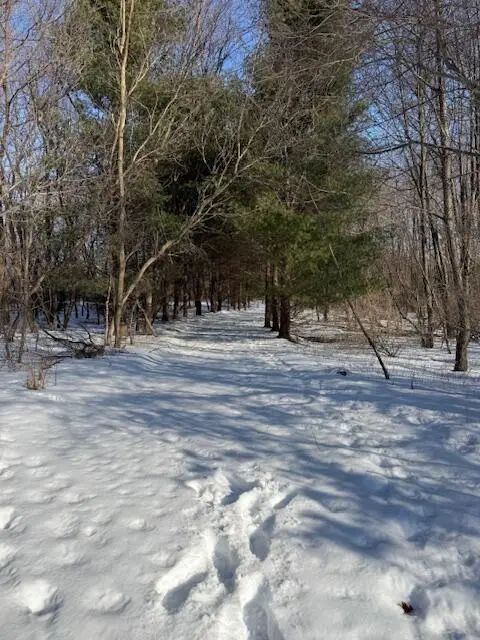 Warner Road, Laingsburg, MI 48848 - #1