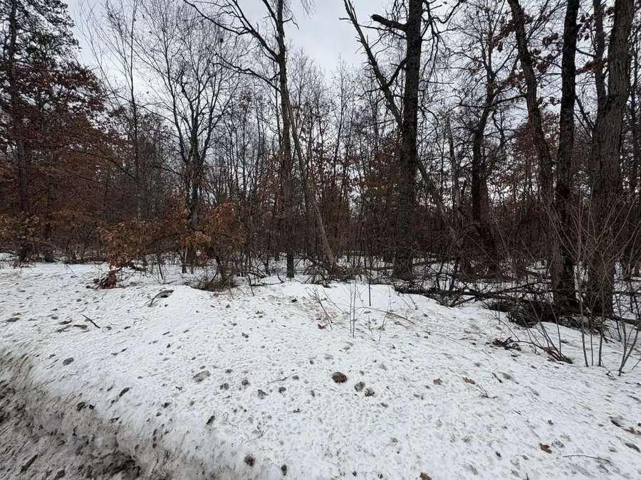 V/L E Lynndon Street, Idlewild, MI 49642 - #2