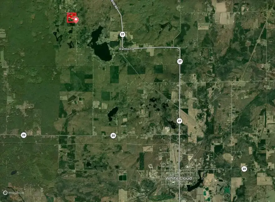 N N Felch Ave Avenue, White Cloud, MI 49349 - #3