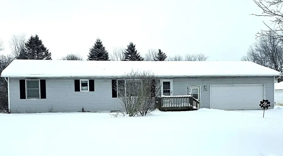 710 Madison Street, Bellevue, MI 49021 - #2