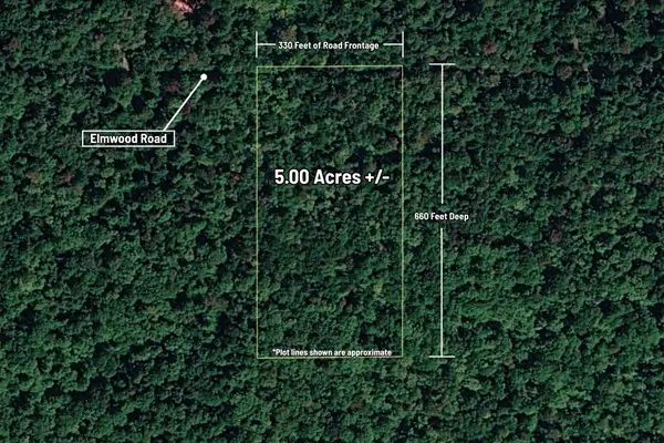 VL Elmwood Road, Newberry, MI 49868