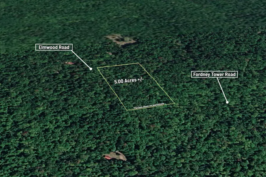 VL Elmwood Road, Newberry, MI 49868 - #2