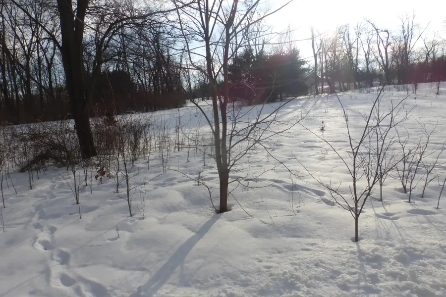 0 Signal Point, Niles, MI 49120 - #2