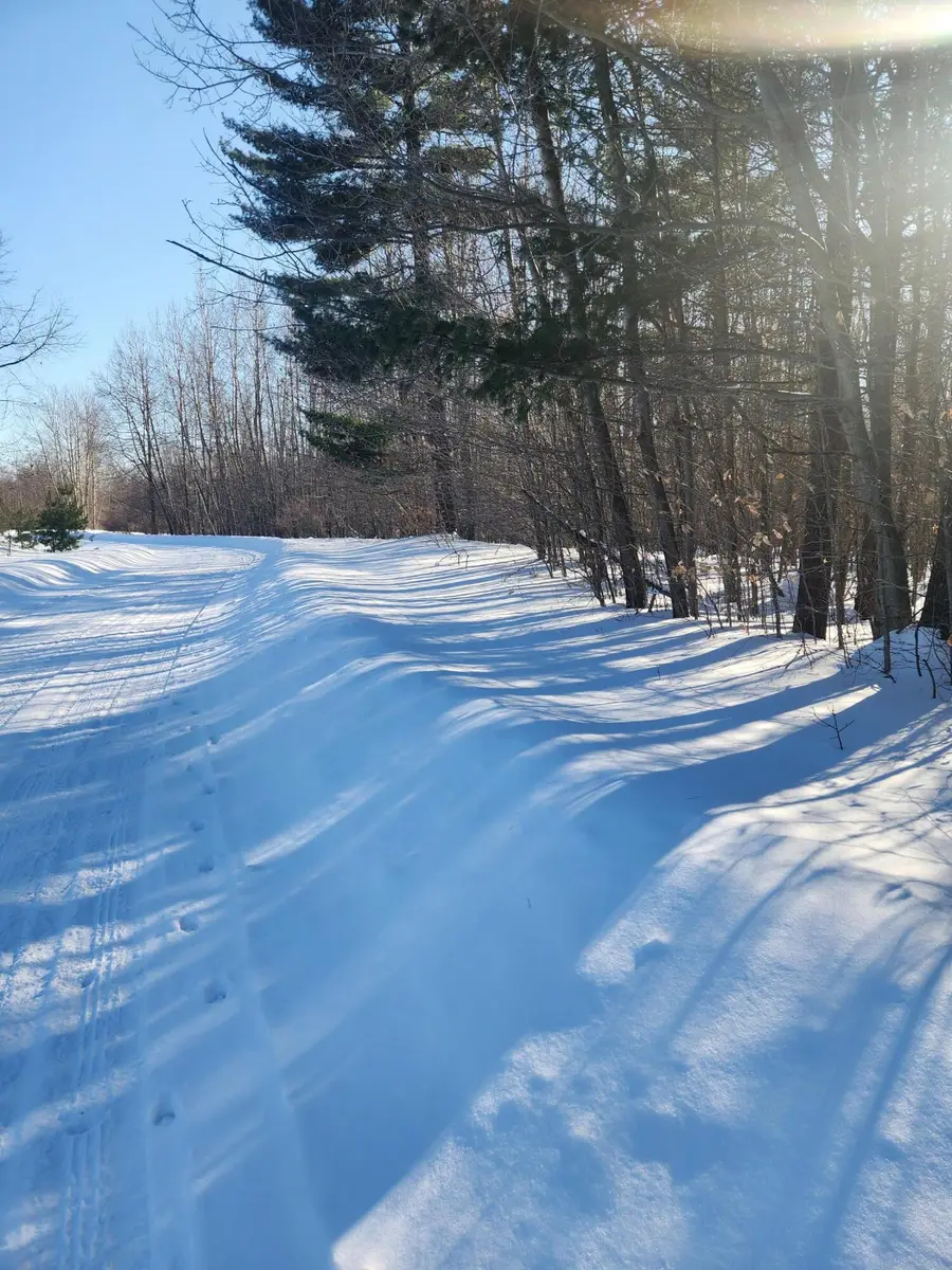 W Starlight Ridge Circle #62, Onekama, MI 49675 - #3