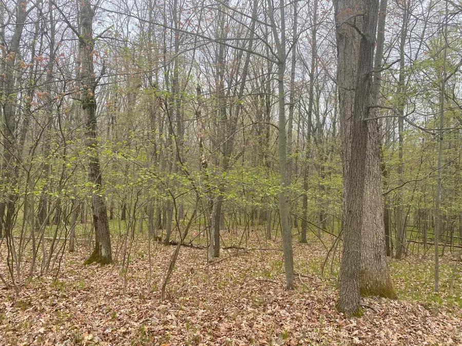 12075 Halifax Drive #418, Canadian Lakes, MI 49346 - #3