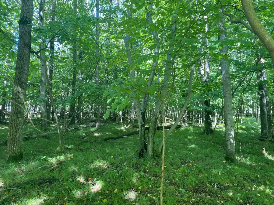 12100 Belle Isle Drive #369, Canadian Lakes, MI 49346 - #2