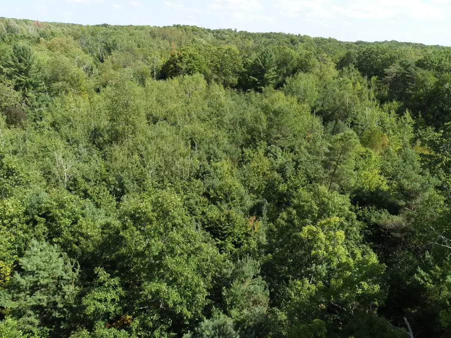 00 N Hawkins Road, Luther, MI 49656 - #2