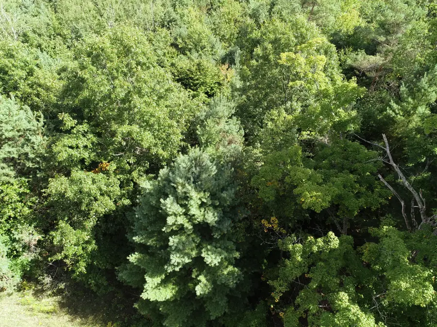 00 N Hawkins Road, Luther, MI 49656 - #3