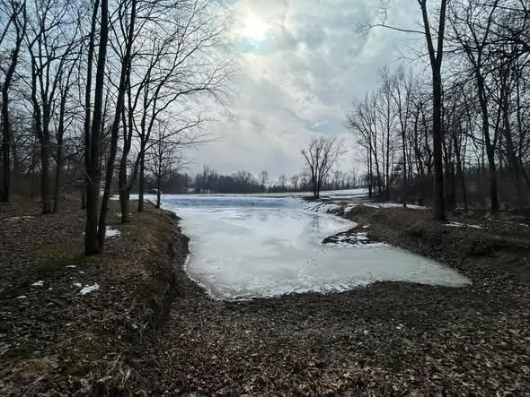 5018 S Rumsey Road, Pittsford, MI 49271 - #1