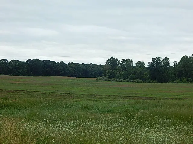 1611 E Hyde Road, Saint Johns, MI 48879 - #3