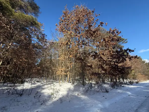 10934 Dobbyn Drive #55, Stanwood, MI 49346