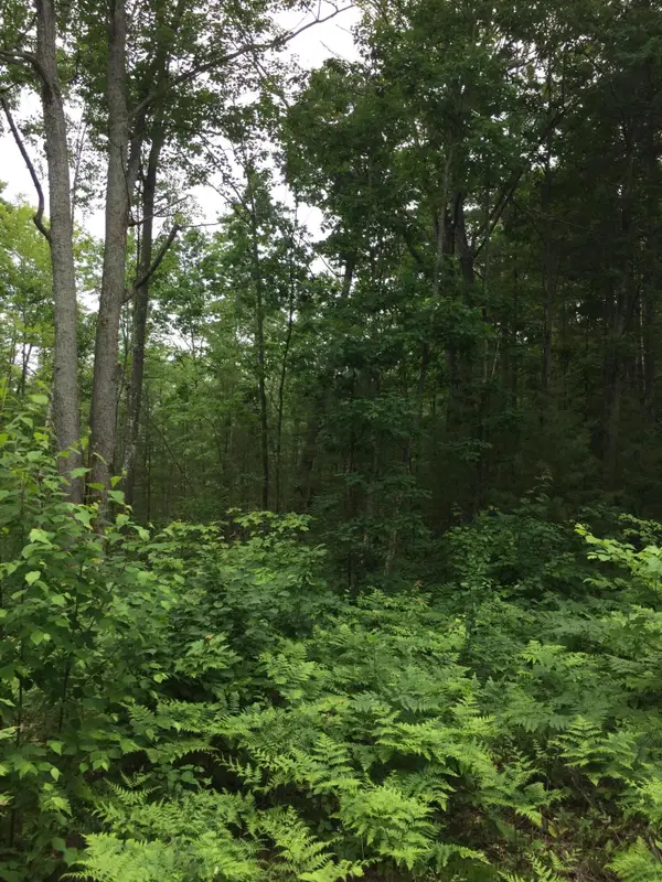 Parcel K Dodge Lake Road, Gaylord, MI 49735