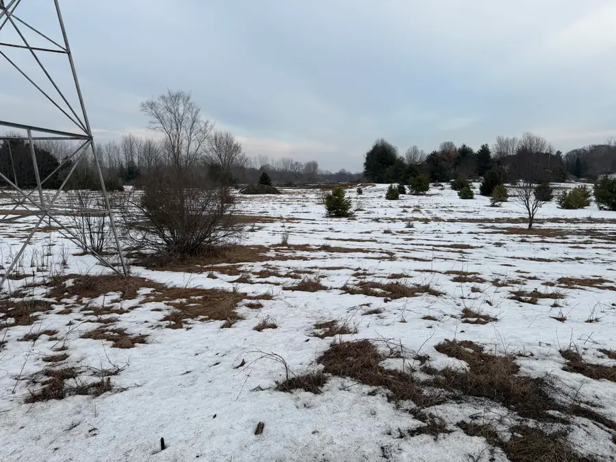 15680 Tyrone Avenue, Kent City, MI 49330 - #2