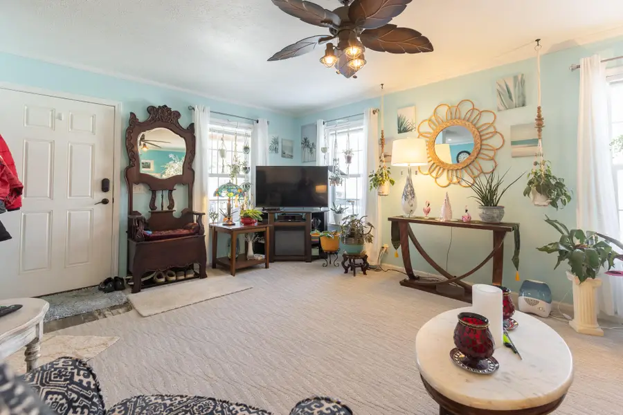 248 Maple Run, Mason, MI 48854 - #3