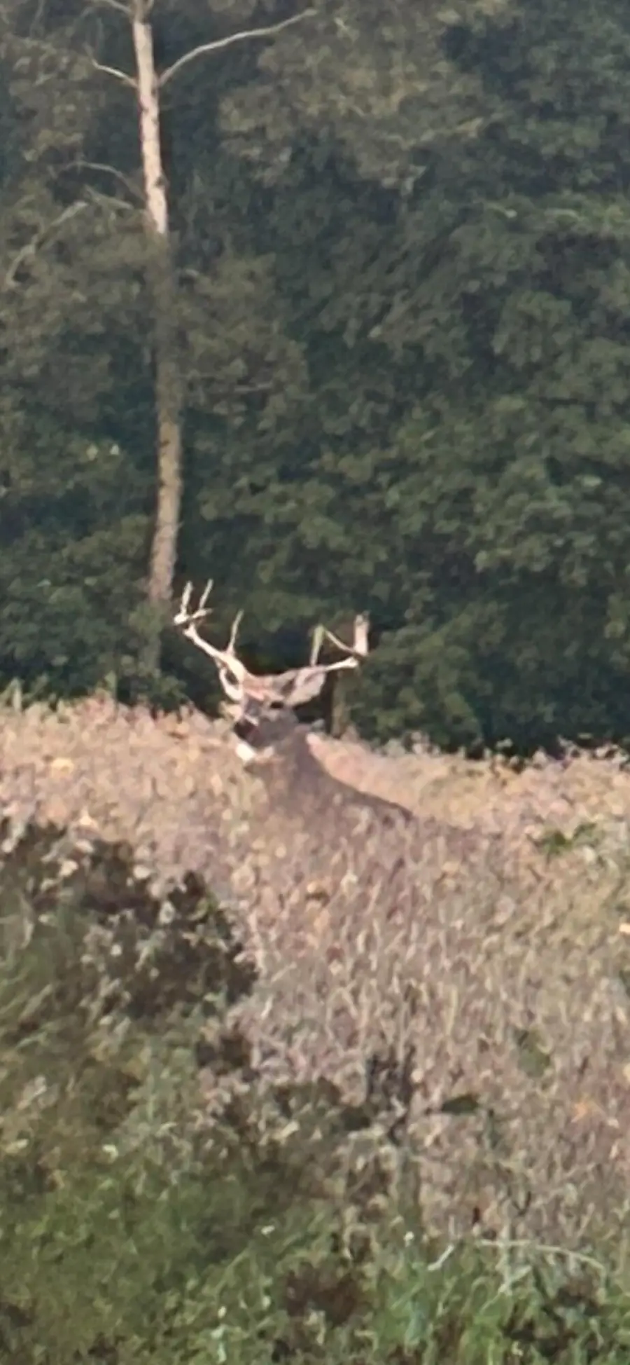 19495 V Drive N, Olivet, MI 49076 - #3