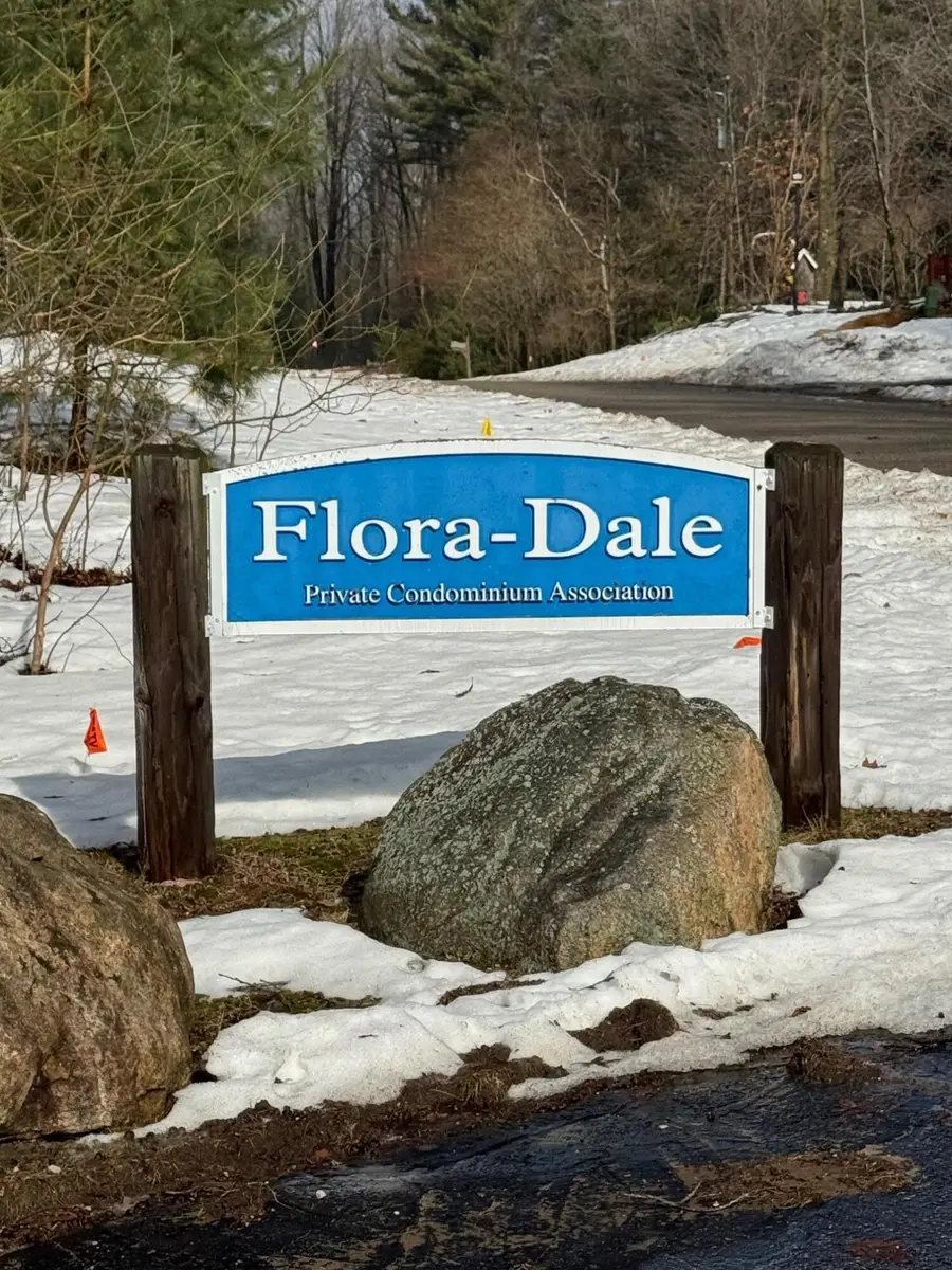 447 N Northern Light Road, Mears, MI 49436 - #3