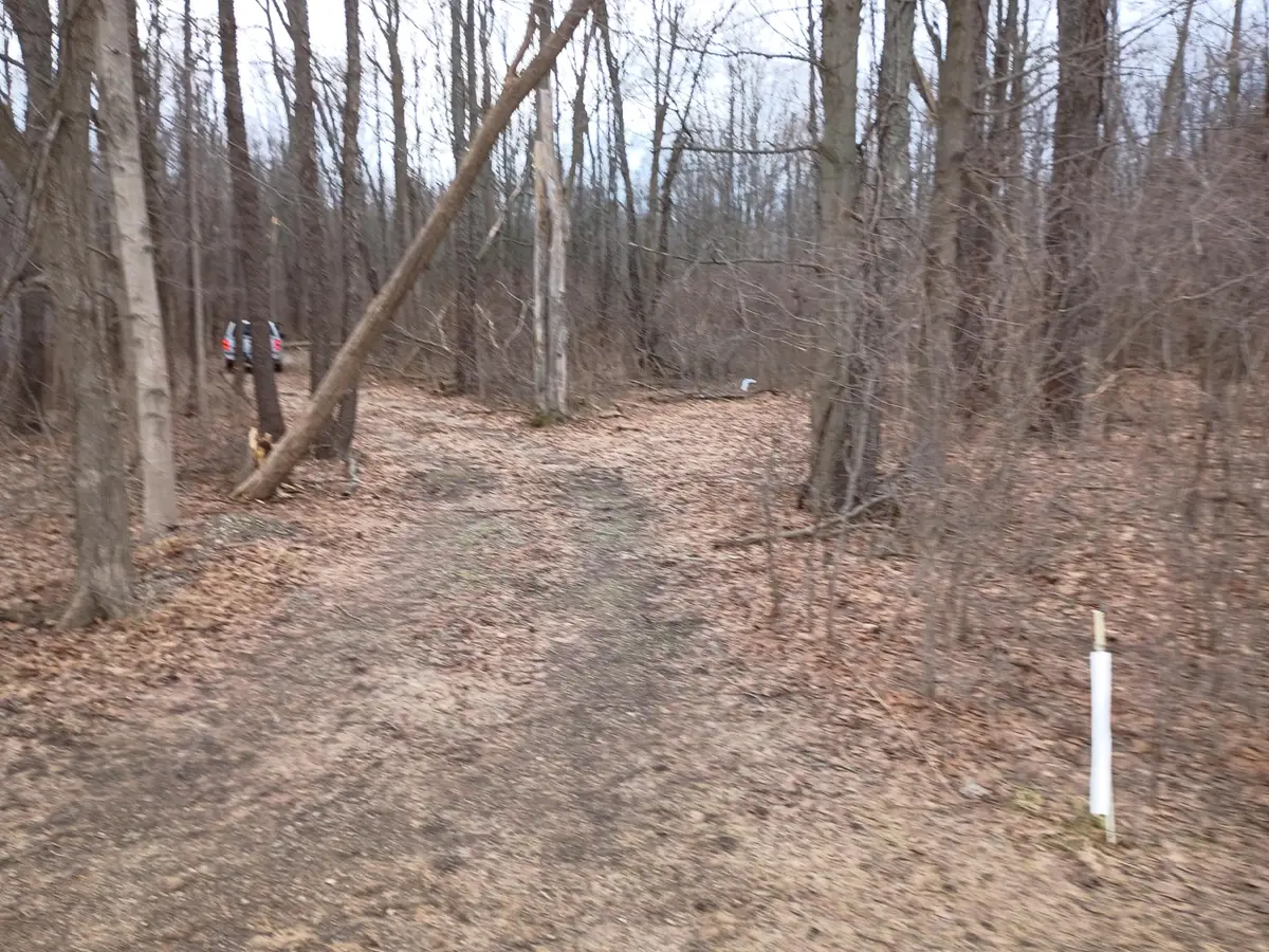 V/L 52nd Street, Bangor, MI 49013 - #1