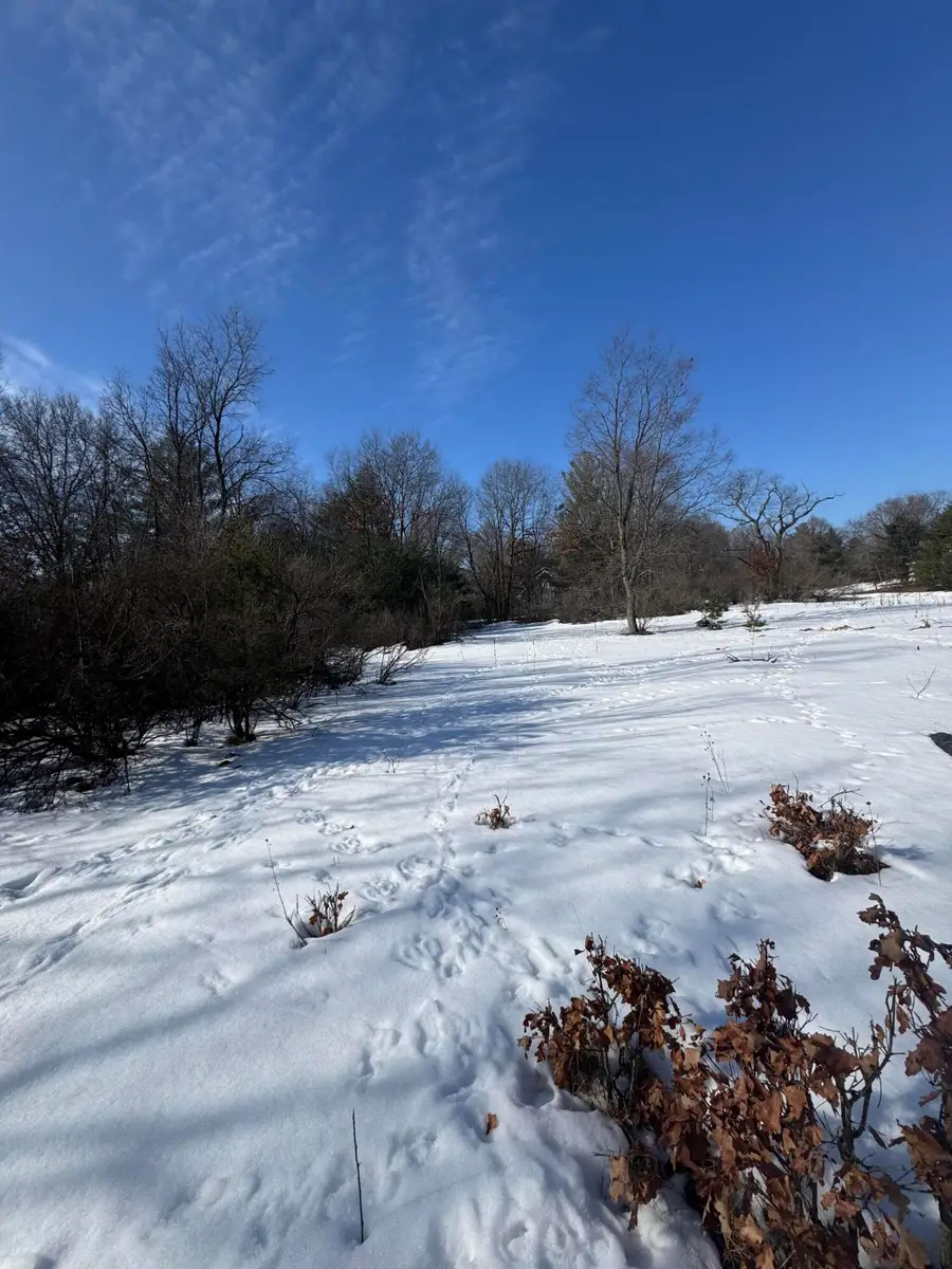 18870 Serenity Drive, Big Rapids, MI 49307 - #2