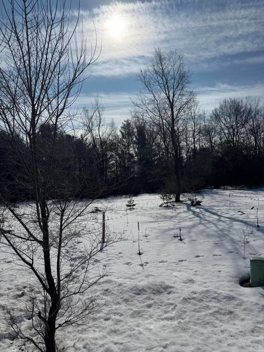 18870 Serenity Drive, Big Rapids, MI 49307 - #3