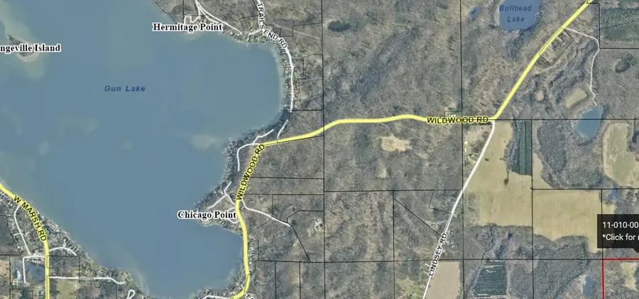 Wildwood Road, Delton, MI 49046 - #2