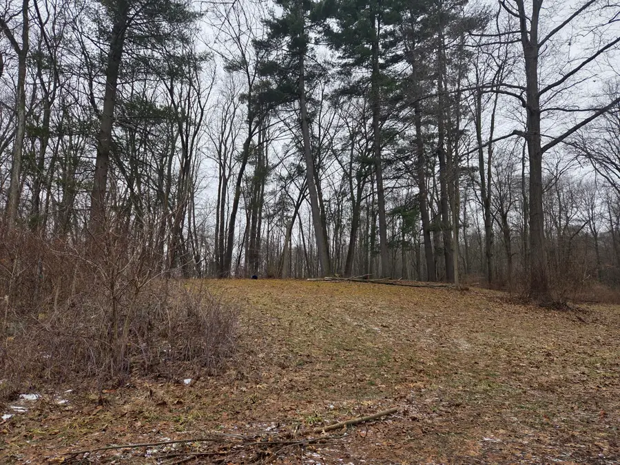 3990 Wellman Road, Parma, MI 49269 - #3