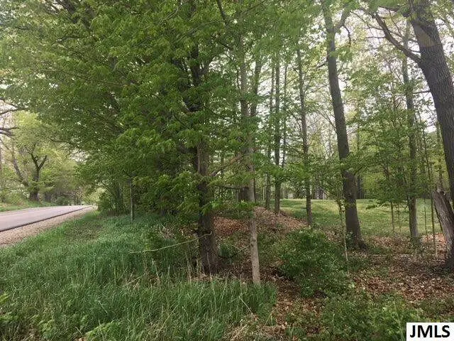 3002 Hatch Road, Jackson, MI 49201 - #2